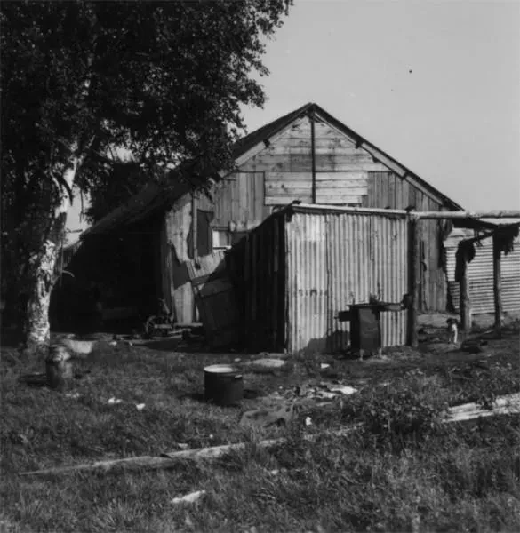 Bk 01 11 20 keet fam gosevoort uitgeknipt